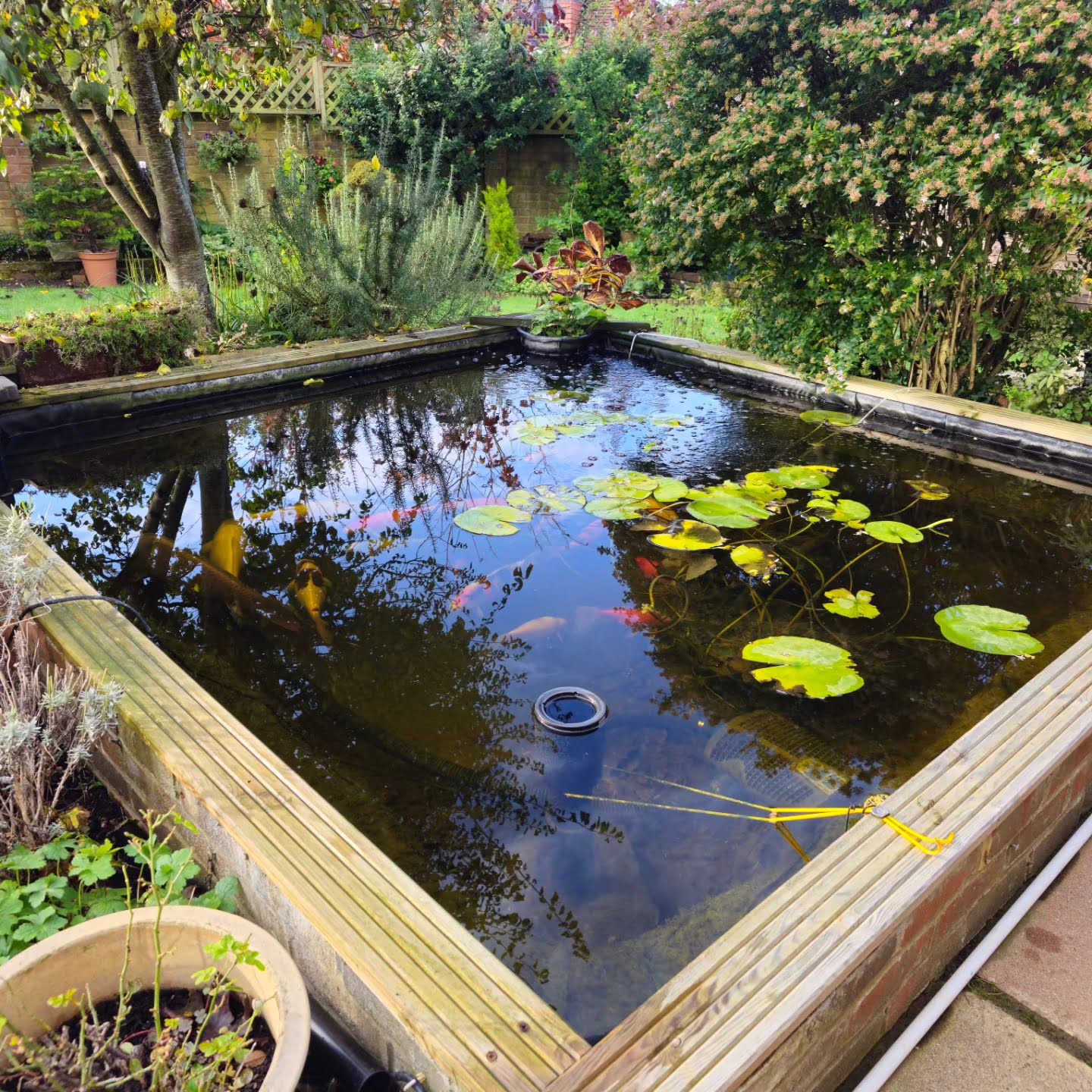 Pond Gallery in Essex | Essex Pond Gallery